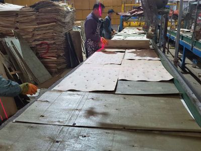 廣西膠合板排版車間